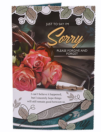 Just to say I'm Sorry